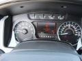 Steel Gray Gauges Photo for 2011 Ford F150 #48995189