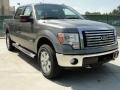 2011 Sterling Grey Metallic Ford F150 XLT SuperCrew 4x4  photo #1