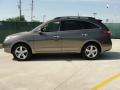 2008 Natural Khaki Metallic Hyundai Veracruz Limited  photo #6