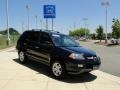 Nighthawk Black Pearl - MDX Touring Photo No. 2