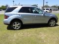 Alpine Rain Metallic 2008 Mercedes-Benz ML 350 4Matic Exterior