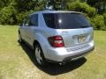Alpine Rain Metallic - ML 350 4Matic Photo No. 18