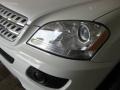 Arctic White - ML 350 4Matic Photo No. 21
