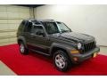 2006 Dark Khaki Pearl Jeep Liberty Sport  photo #1