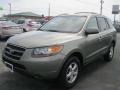 Natural Khaki Green - Santa Fe GLS Photo No. 1