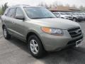 Natural Khaki Green - Santa Fe GLS Photo No. 10