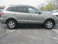 Natural Khaki Green - Santa Fe GLS Photo No. 14