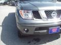 Storm Gray - Frontier LE Crew Cab 4x4 Photo No. 9