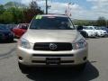 Savannah Metallic - RAV4 4WD Photo No. 2