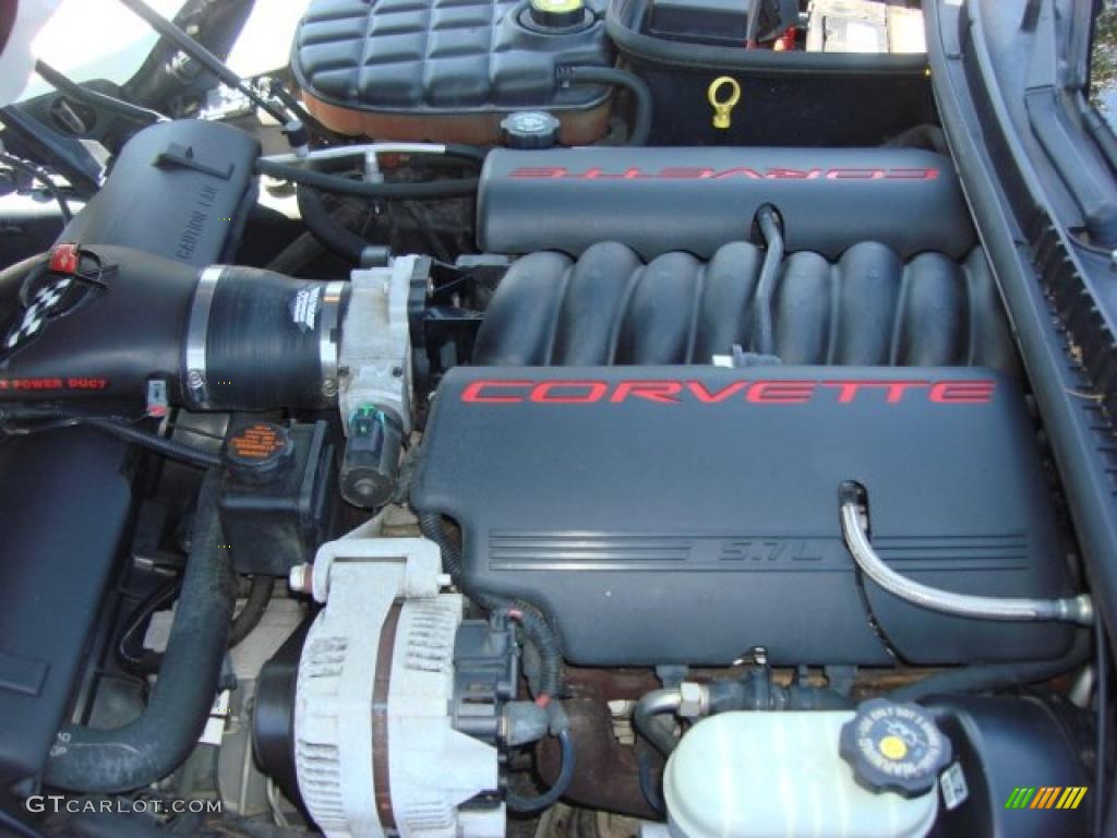 1999 Chevrolet Corvette Coupe 5.7 Liter OHV 16-Valve LS1 V8 Engine Photo #49017424