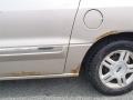 Light Parchment Gold Metallic - Windstar SE Photo No. 18