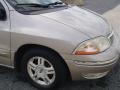 Light Parchment Gold Metallic - Windstar SE Photo No. 24