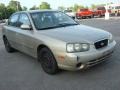 Champagne Beige - Elantra GLS Sedan Photo No. 6