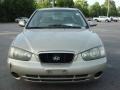 Champagne Beige - Elantra GLS Sedan Photo No. 7