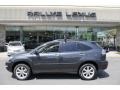 Smokey Granite - RX 350 AWD Photo No. 2