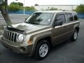 Light Khaki Metallic - Patriot Sport Photo No. 1