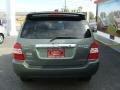 Oasis Green Pearl - Highlander Hybrid Limited 4WD Photo No. 5