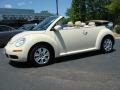 Harvest Moon Beige 2010 Volkswagen New Beetle 2.5 Convertible Exterior