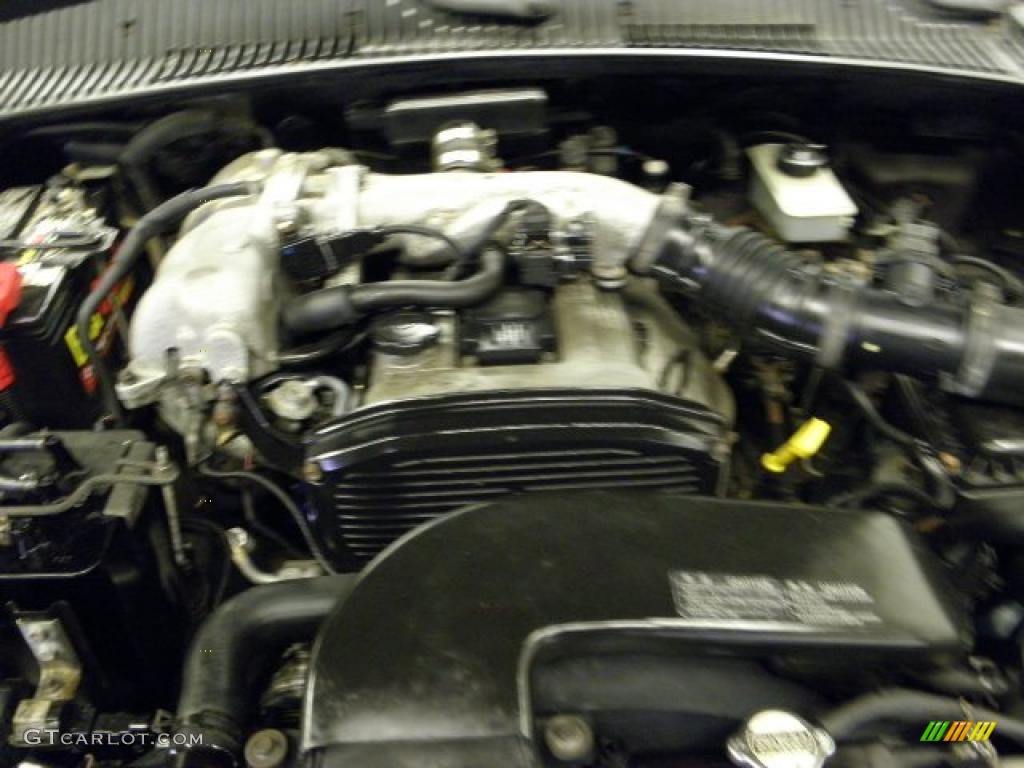 2001 Sportage  - Evergreen / Brown photo #4