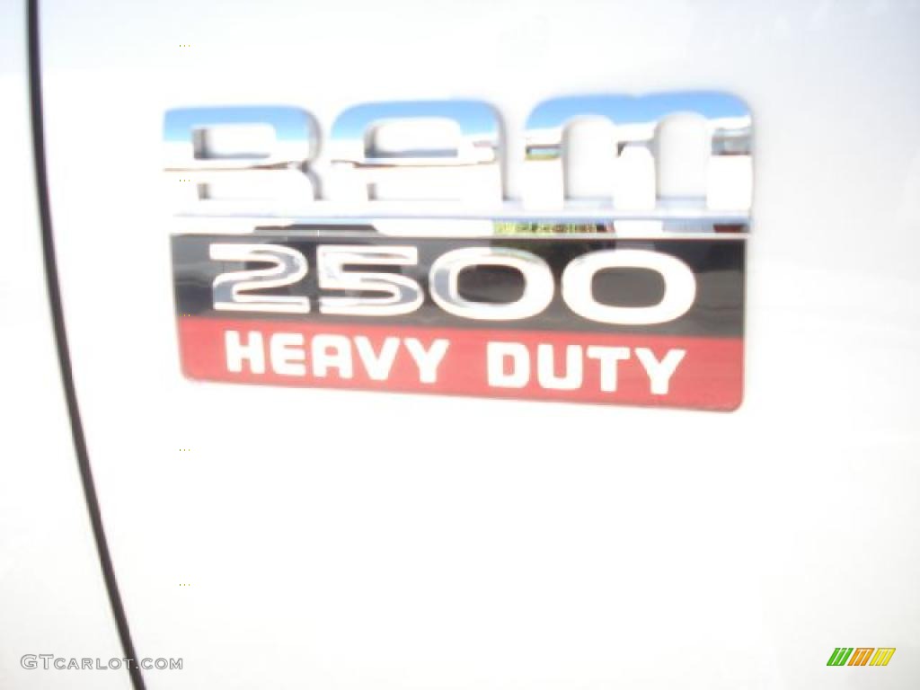 2011 Ram 2500 HD ST Crew Cab 4x4 - Bright Silver Metallic / Dark Slate/Medium Graystone photo #17