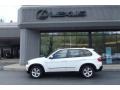 Alpine White - X5 3.0si Photo No. 2