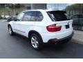 Alpine White - X5 3.0si Photo No. 3