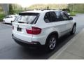 Alpine White - X5 3.0si Photo No. 5