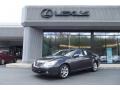 Truffle Brown Mica - ES 350 Photo No. 1