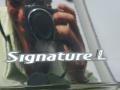 2010 Black Lincoln Town Car Signature L  photo #19