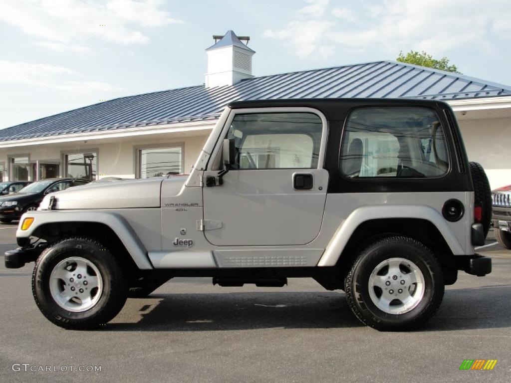 2001 Wrangler Sport 4x4 - Silverstone Metallic / Agate Black photo #4