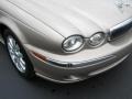 2002 Topaz Metallic Jaguar X-Type 2.5  photo #2