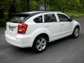 Stone White - Caliber SXT Photo No. 3