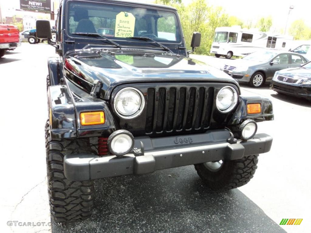 2002 Wrangler Sahara 4x4 - Black / Camel Beige/Dark Green photo #17