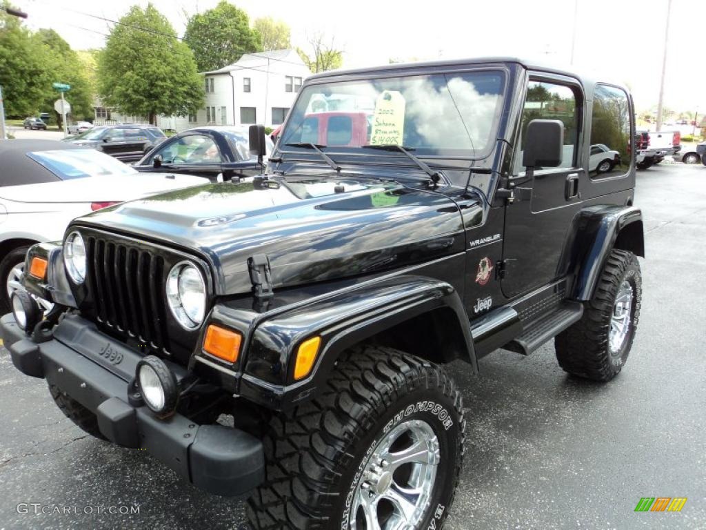 2002 Wrangler Sahara 4x4 - Black / Camel Beige/Dark Green photo #20