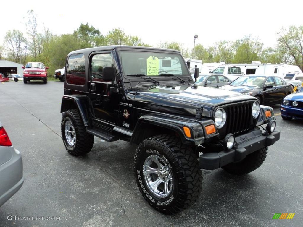 2002 Wrangler Sahara 4x4 - Black / Camel Beige/Dark Green photo #21