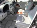 Magnetic Gray Metallic - Camry XLE Photo No. 11