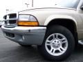 2004 Light Almond Pearl Metallic Dodge Dakota SLT Club Cab  photo #2