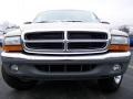 2004 Light Almond Pearl Metallic Dodge Dakota SLT Club Cab  photo #3