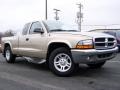 2004 Light Almond Pearl Metallic Dodge Dakota SLT Club Cab  photo #9