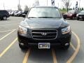 2008 Ebony Black Hyundai Santa Fe SE 4WD  photo #12