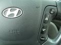 2008 Ebony Black Hyundai Santa Fe SE 4WD  photo #32