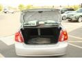 Titanium Silver Metallic - Forenza Sedan Photo No. 8