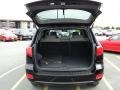 2009 Ebony Black Hyundai Santa Fe GLS 4WD  photo #9