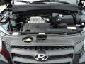 2009 Ebony Black Hyundai Santa Fe GLS 4WD  photo #14