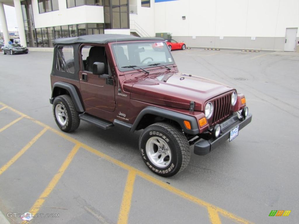 2004 Wrangler Sport 4x4 - Sienna Pearl / Dark Slate Gray photo #21