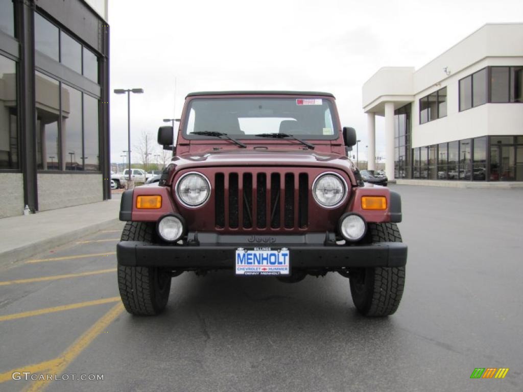 2004 Wrangler Sport 4x4 - Sienna Pearl / Dark Slate Gray photo #22