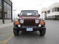 2004 Sienna Pearl Jeep Wrangler Sport 4x4  photo #22