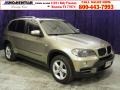 Platinum Bronze Metallic - X5 3.0si Photo No. 1