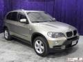 Platinum Bronze Metallic - X5 3.0si Photo No. 3
