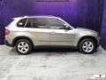 Platinum Bronze Metallic - X5 3.0si Photo No. 6